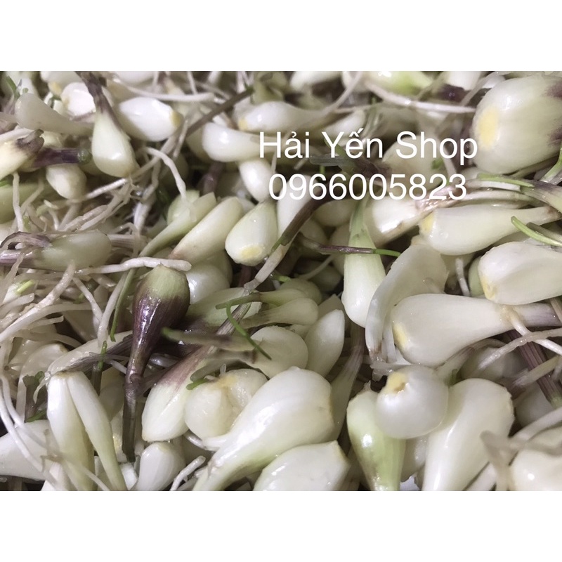 Dưa Củ Kiệu-Củ Kiệu Chua Ngọt Hũ 500g~1kg