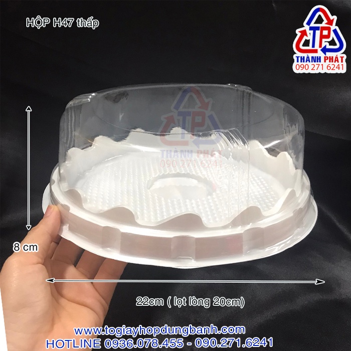 50 Hộp đựng bánh bông lan 19cm - Hộp đựng bánh bông lan 19 cm - Hộp H47 thấp đựng bánh bông lan 20 cm