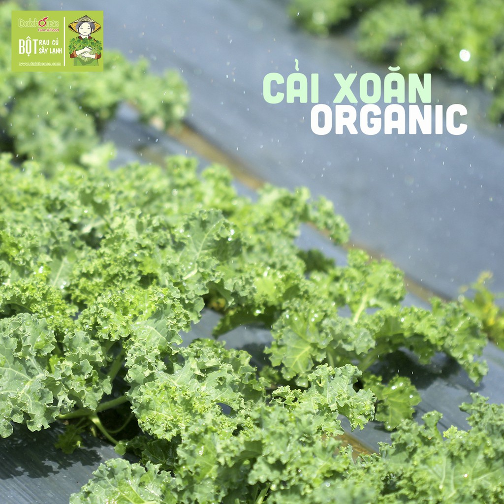  Bột cải xoăn hữu cơ nguyên chất sấy lạnh hộp 20 gói 3g | BigBuy360 - bigbuy360.vn