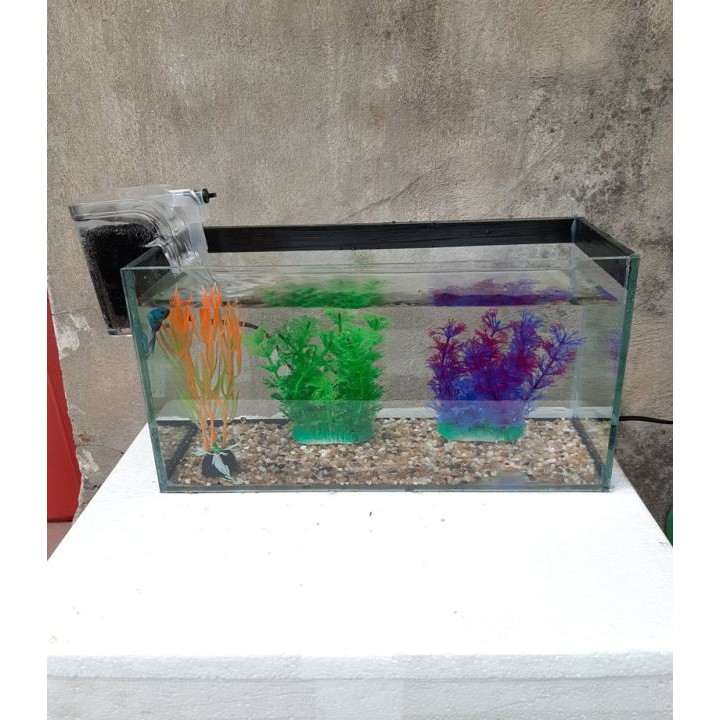 Bể cá mini 30 cm với 5 món (bể, sỏi nền, máy lọc, thức ăn cá,  cây nhựa cỡ vừa)