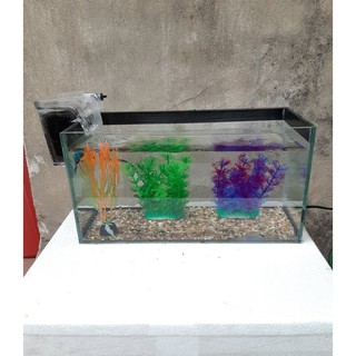 Bể cá mini 30 cm với 5 món