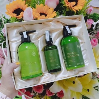 Combo dau goi dầu xả xịt dưỡng vi jully - có bán lẻ
