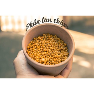 Phân Tan Chậm Thái Lan Túi 50gr-100gr