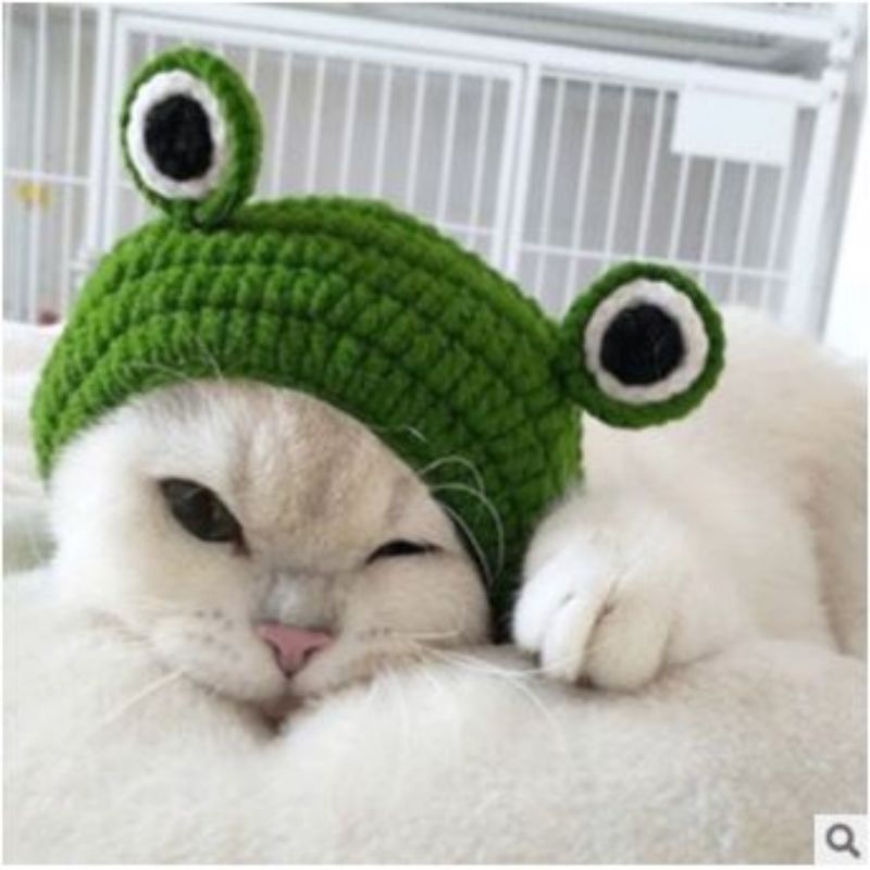 Mũ nón len ếch dễ thương cho chó mèo, thú cưng