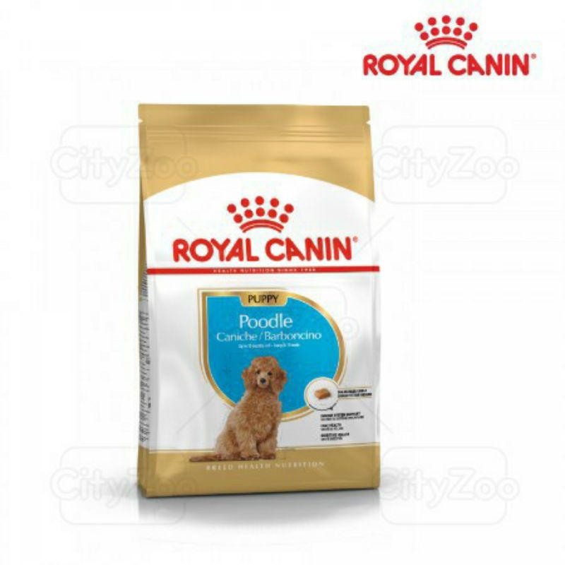 royal canin puppy hạt cho chó poodle nhỏ túi 500g