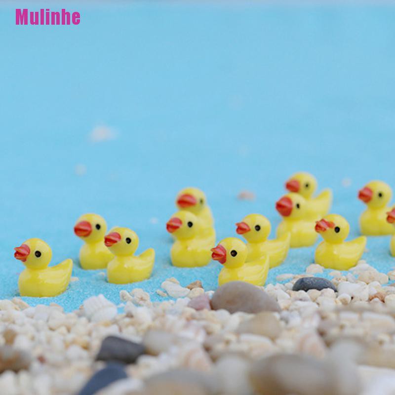 Set 6 tượng vịt vàng dùng trang trí vườn thu nhỏ