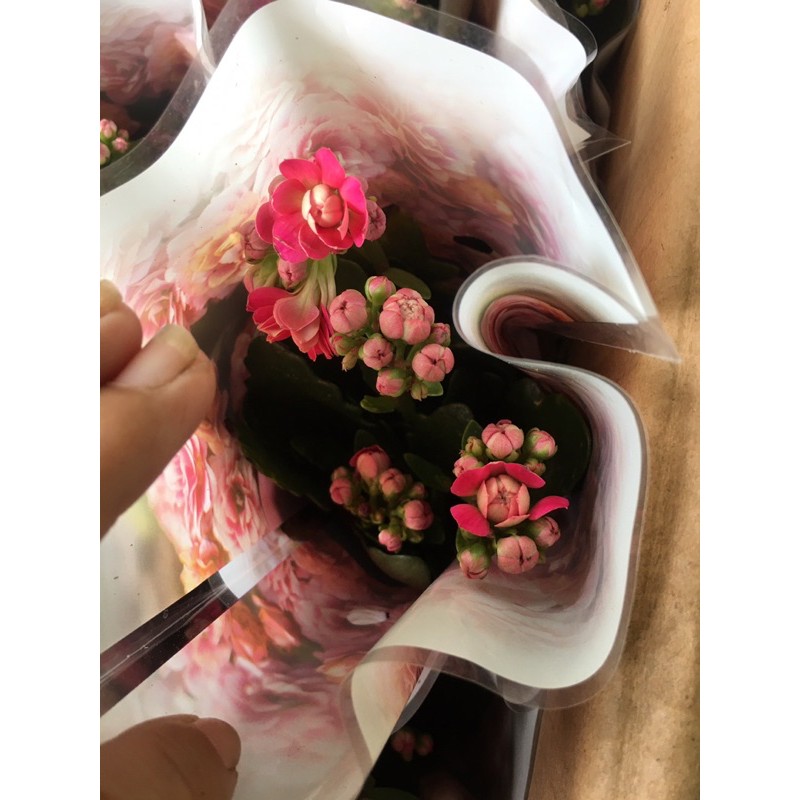 Sống đời kép siêu đẹp