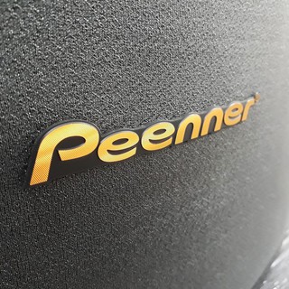 Loa Karaoke Peenner PS-299