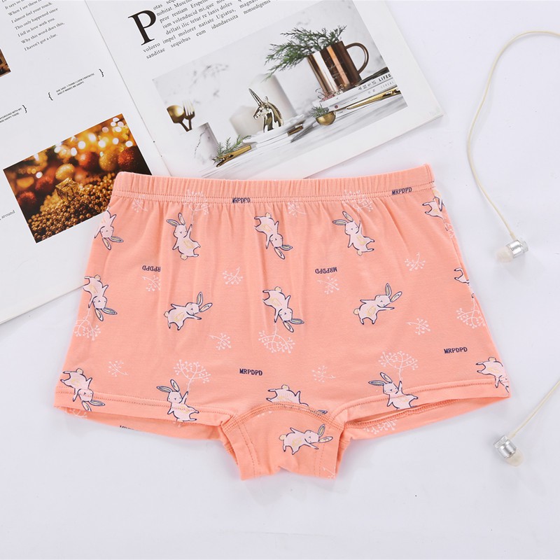 Combo Hộp 4 quần lót dạng đùi vải cotton Hàn Quốc cho bé gái mẫu Con Thỏ Giấy