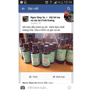 Tinh dầu tràm 50ml Cầu Bình An