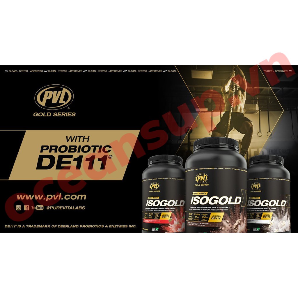 Whey Protein PVL ISO GOLD 5LBS Whey Protein chất lượng cao (2,3kg)