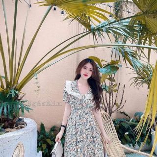 Jum hoa nhí live 188