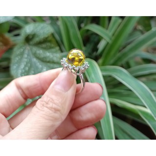 Nhẫn hổ phách đổi màu thời trang