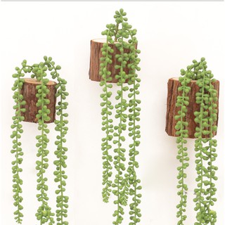 Combo set dây treo trang trí và khúc gỗ treo tường