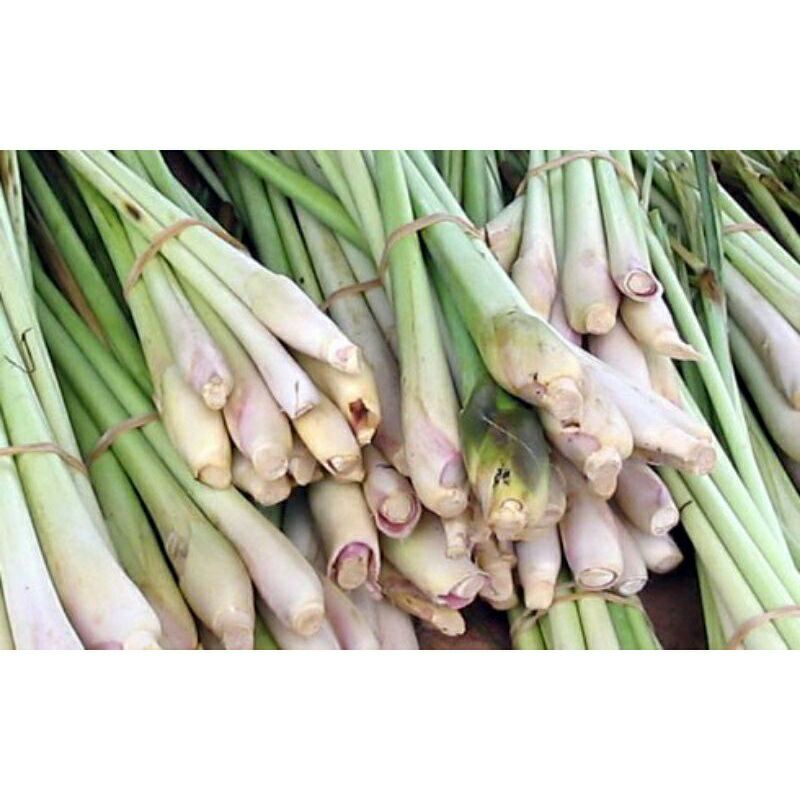 1kg xả cây tươi : chỉ giao TPHCM