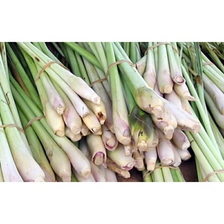 1kg xả cây tươi : chỉ giao tphcm