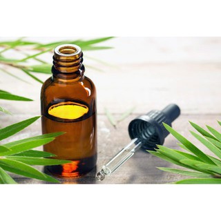 Tinh dầu tràm nguyên chất (100ml)
