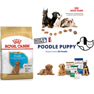 Thức ăn cho chó Royal canin Poodle Puppy