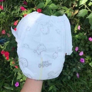 Sỉ Bỉm Bejoyle Dán/Quần Nội Địa Trung Cao Cấp Size S120-M96-L90-XL78-XXL66-XXXL54, tổng kho để giá sỉ cho khách