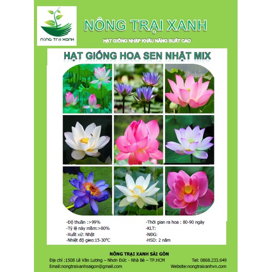 Hạt Giống Hoa Sen Nhật Mix Nhiều Màu Ngẫu Nhiên (4-5 Hạt) - MUA 3 TẶNG 1 CÙNG LOẠI