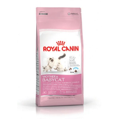 Thức ăn khô mèo bầu, mèo con từ 1-4 tháng - Royal Canin 34 Baby