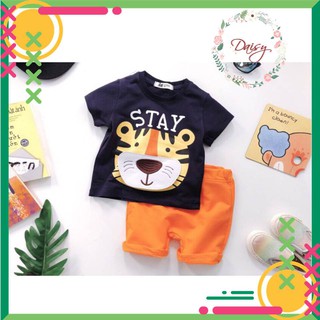 Set bộ HM họa tiết hổ màu xanh than