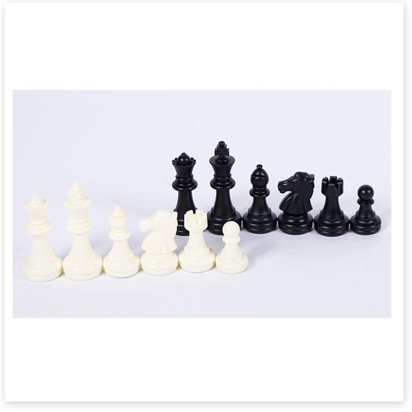Bàn cờ vua   1 ĐỔI 1   Bộ bàn cờ vua 25cm tiện lợi, nhỏ gọn, phù hợp với mọi đối tượng 4547