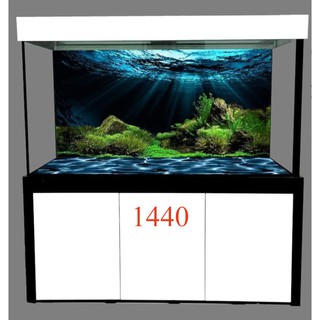 Tranh 3d dán bể cá trang trí bể cá nhiều kích thướt chọn lựa
