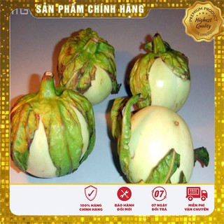 Hạt giống cà đĩa trắng
