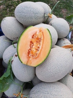 Sữa tắm dưa lưới Naturalium