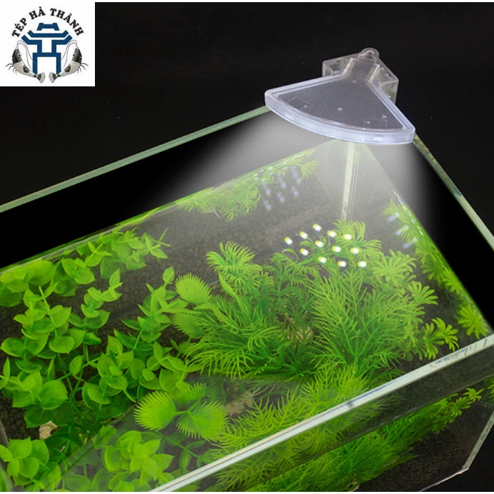 Đèn Led Kẹp M3 Cho Bể Cá Cảnh Mini, Bể Tròn, Bể Thủy Sinh