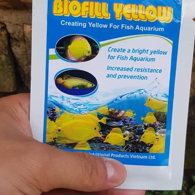 Combo thuốc trị bệnh cá cảnh