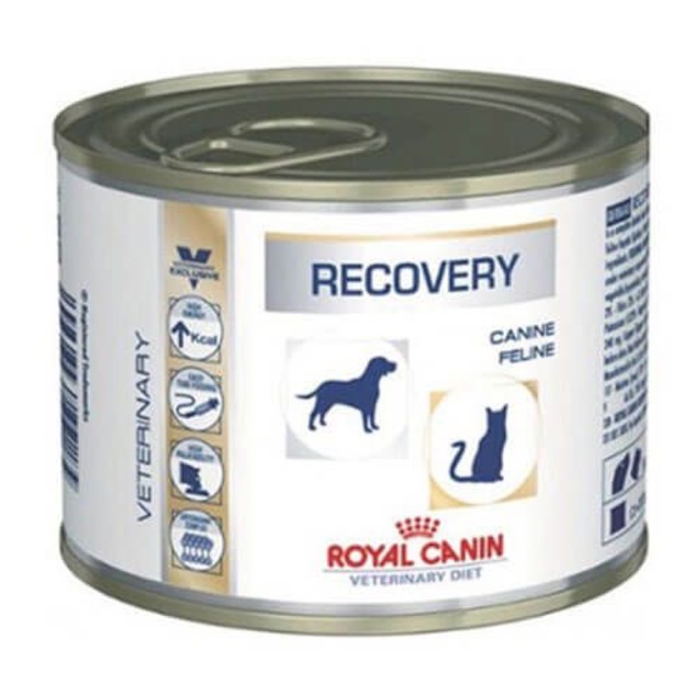 Patê Royal canin