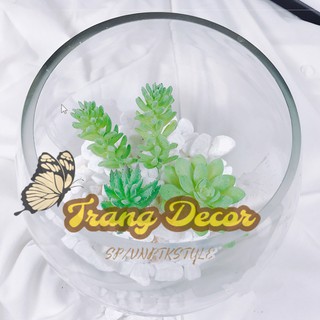 Đá sỏi trắng trang trí cỡ trung