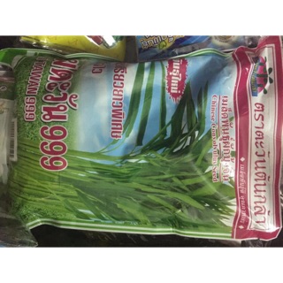 Hat Giong rau muống giòn Thái Lan (Bán lẻ 10 gram)