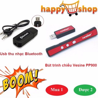 Bút trình chiếu Vesine PP900