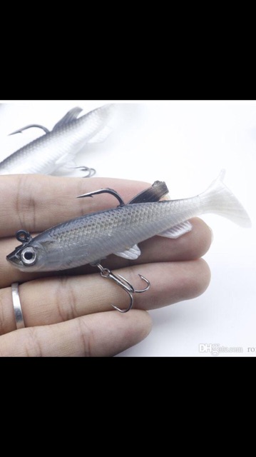 Cá mềm câu lure loại đẹp