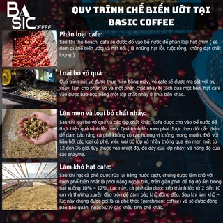 Cà Phê Arabica Typica Honey Cầu Đất Đà Lạt Cafe Nguyên Chất Basic Coffee