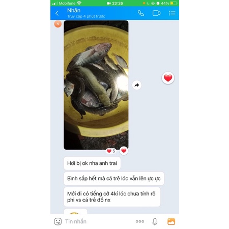 8 FET CHUYÊN THUYỀN 1 VỢT QUẠT TỰ NGẮT 👍🏼