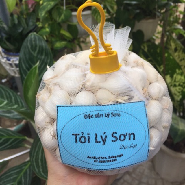 Tỏi Lý Sơn 3-4 tép (0,5kg)
