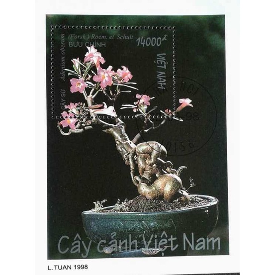 Tem sưu tập MS 773 Tem  Việt Nam Cây cảnh Việt Nam 1998