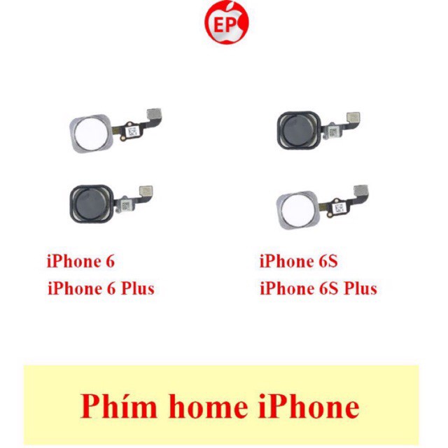 [người bán địa phương] Phím nút home iPhone 6/ 6 Plus/ 6S/ 6S Plus zin bóc máy