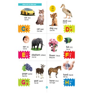 Từ Điển Tiếng Anh Bằng Hình