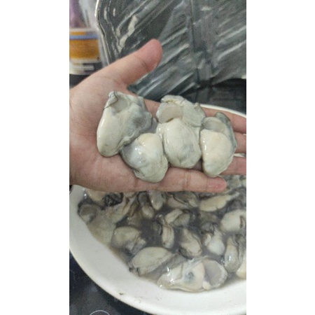 1KG 2 bịch Hào sữa hàng mới 100% như hình!! [Grab + Now Ship] | BigBuy360 - bigbuy360.vn
