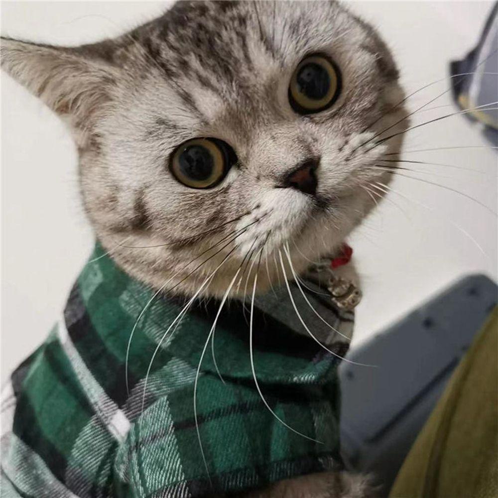 Áo Sơ Mi Kẻ Sọc Caro Phong Cách Anh Quốc Cổ Điển Cho Thú Cưng