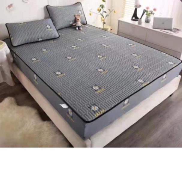 Chiếu Điều Hòa Cao Su Non Bọc Chun Toàn Bộ Đệm Điều Hòa Mát Lạnh Tặng Kèm 2 Vỏ Gối Cùng Màu MH2T STORE