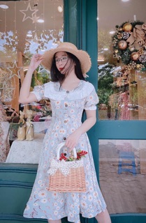 ĐẦM HOA MIDI CỔ BÈO