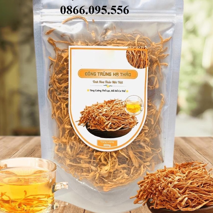 ✅ Đông Trùng Hạ Thảo 100gr 500GR 1KG Sấy Khô Sợi To Ngon Hàng Cao Cấp Bồi Bổ Cơ Thể