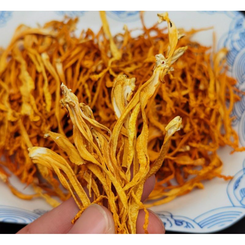 ĐÔNG TRÙNG HẠ THẢO