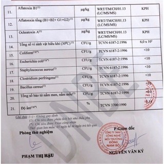 TINH BỘT NGHỆ TRI TÚI 300GR